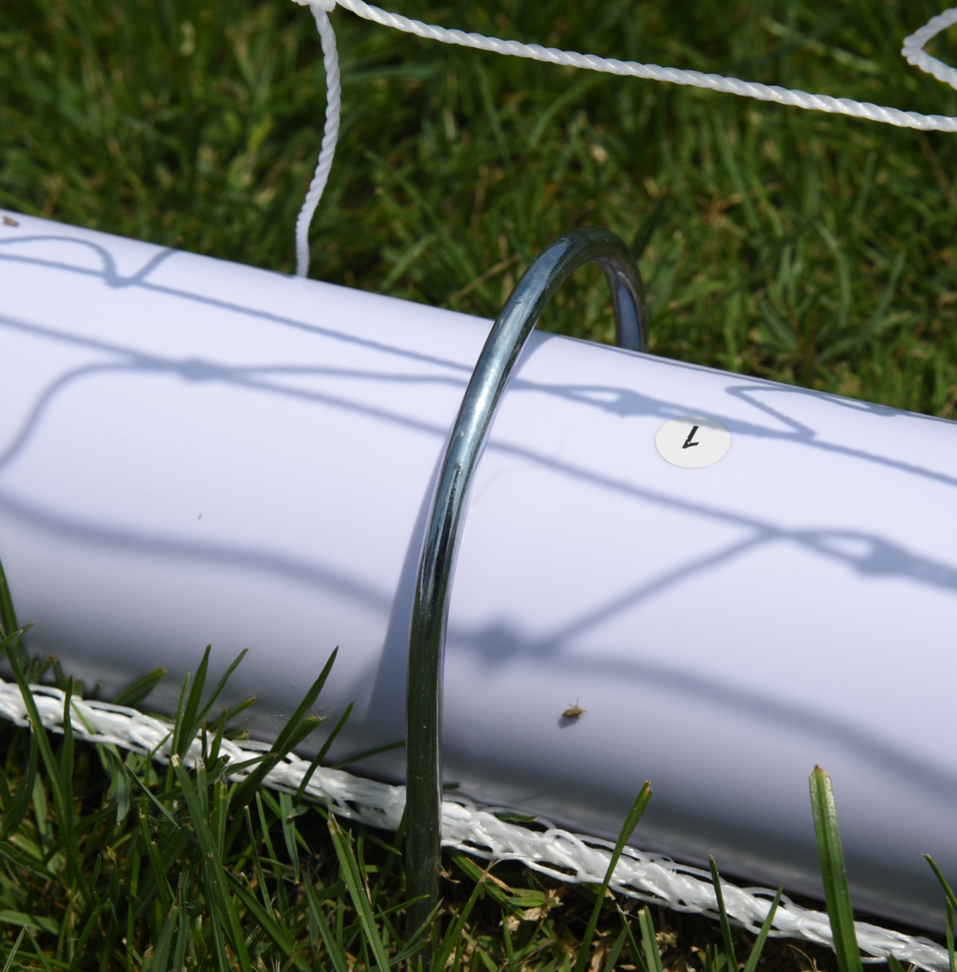 3m x 2m Globesports Football Goal